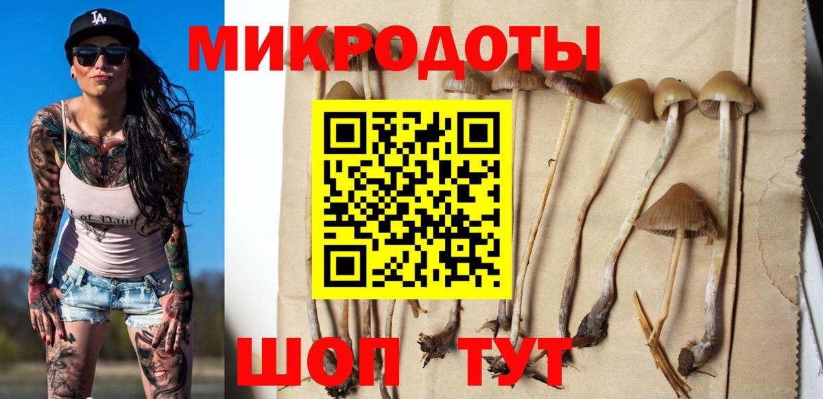 Псилоцибиновые грибы мицелий  Вход с VPN  Владивосток 