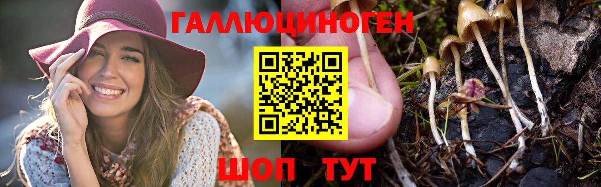 Галлюциногенные грибы ЛСД Владивосток